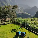 Casa Girassol 