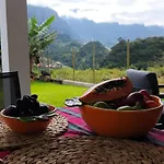 Casa Girassol 