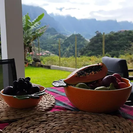 Casa Girassol 