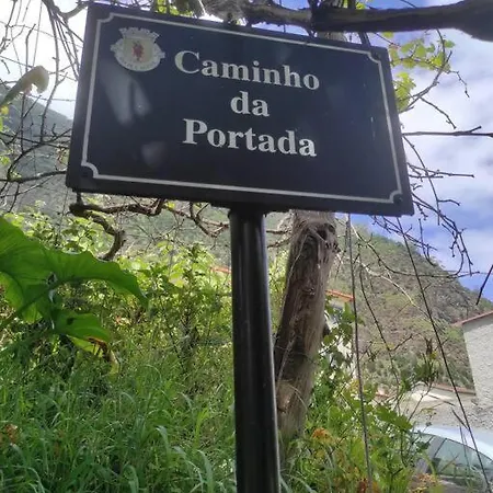 Casa Girassol 