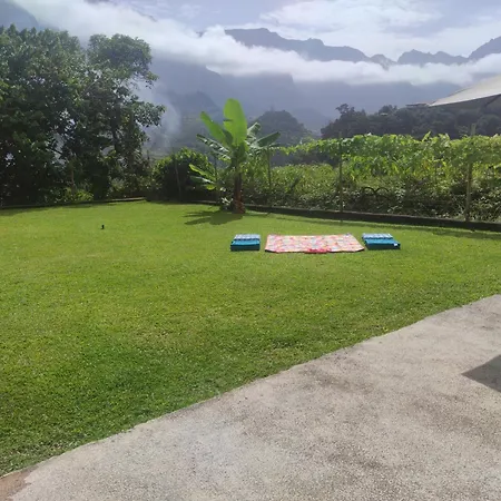 Casa Girassol 